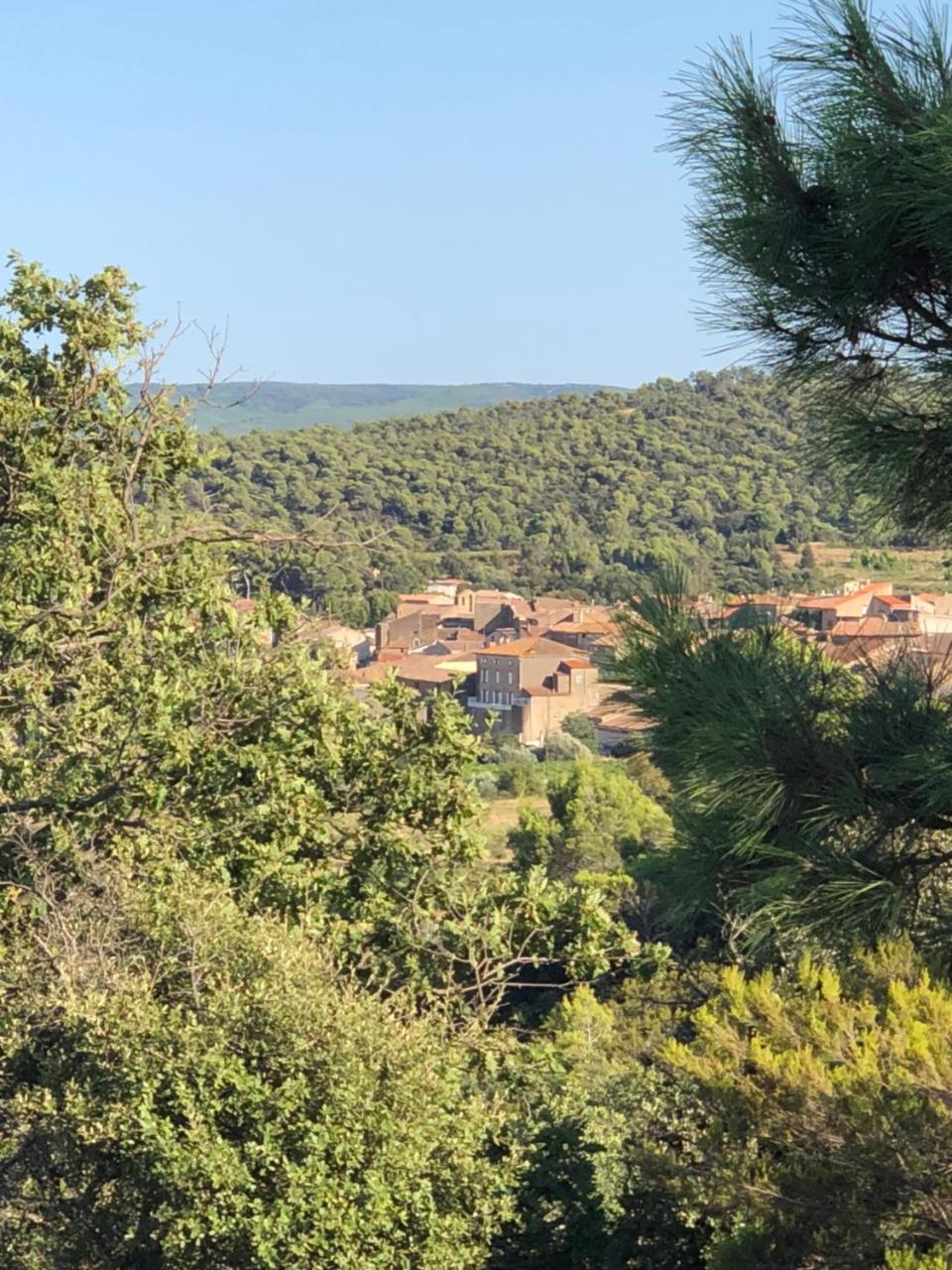 B&B Domaine Du Griffon Boutenac Экстерьер фото